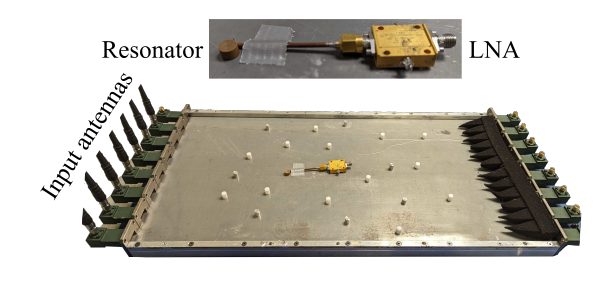 Detecting and Focusing on a Nonlinear Target in a Complex Medium